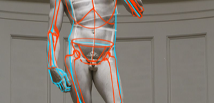 Atelier Tcheskiss. David de Michel-Ange. Anatomie simplifiée. Cours de dessin pour enfants et adultes. Delémont Jura