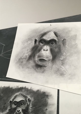 Atelier de dessin pour enfants. Atelier Tcheskiss Delémont Jura